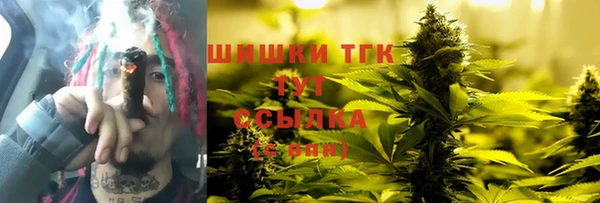 молекула духа Карпинск