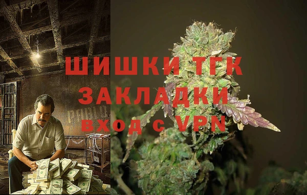 кокс Касимов