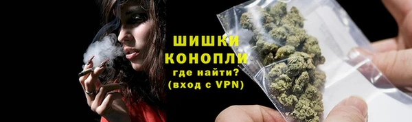 кокс Касимов
