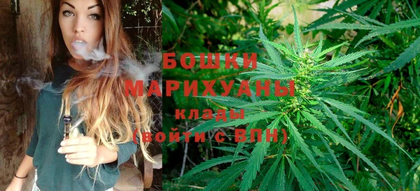 кокс Касимов