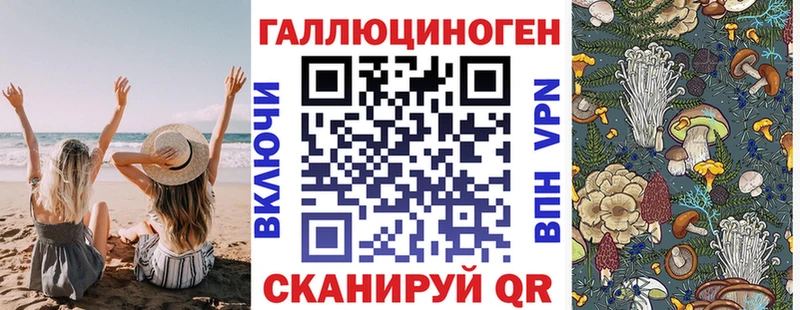 Галлюциногенные грибы Psilocybe  Купить закладки  Арсеньев 